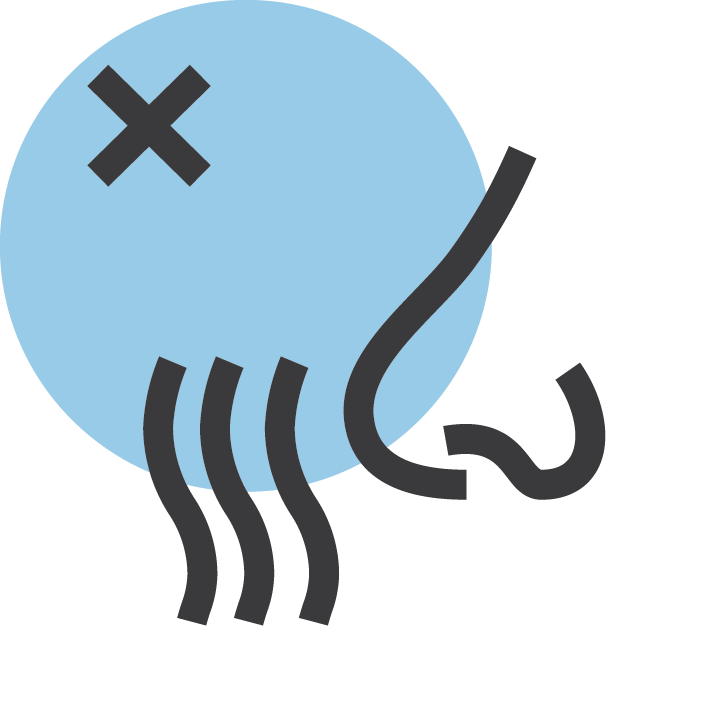 عديم الرائحة