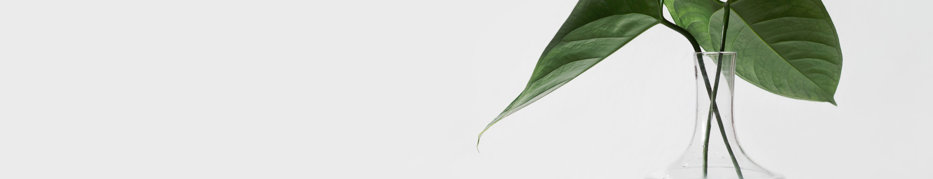 Need a Colorful and Joyful Colors for Summer?