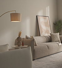 Interior Walls Paints