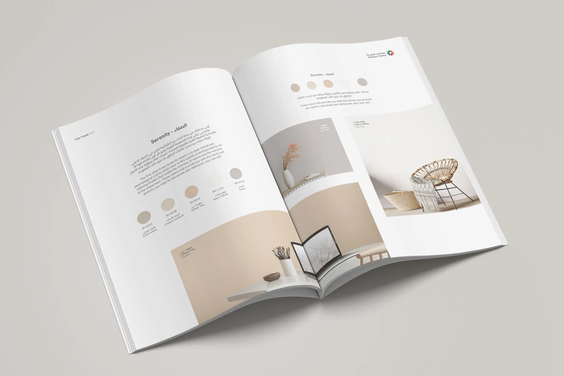 Color Trends 2023 Catalogue