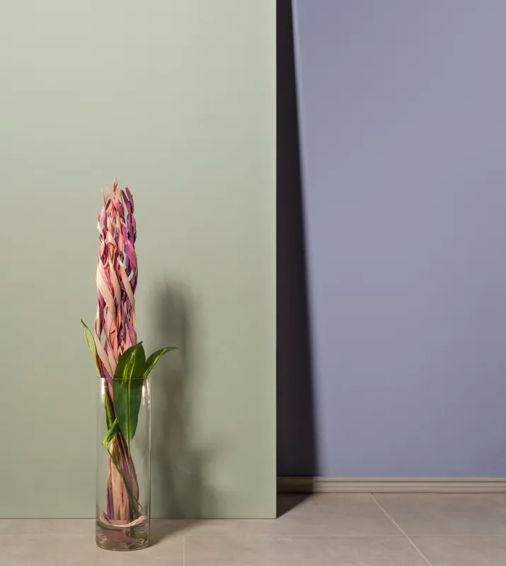 Purple-Sense